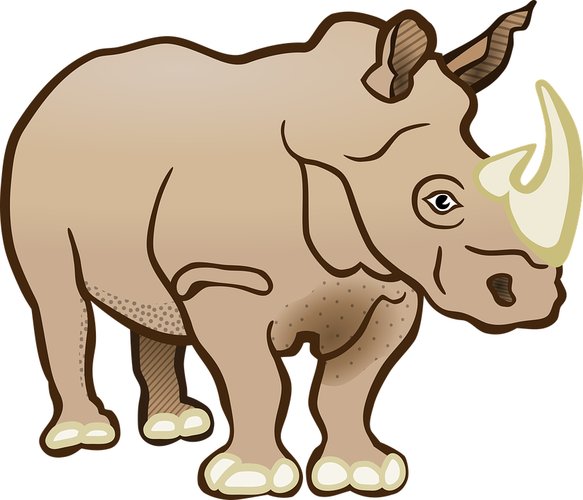 Baby Rhino PNG Transparent Baby Rhino.PNG Images. | PlusPNG