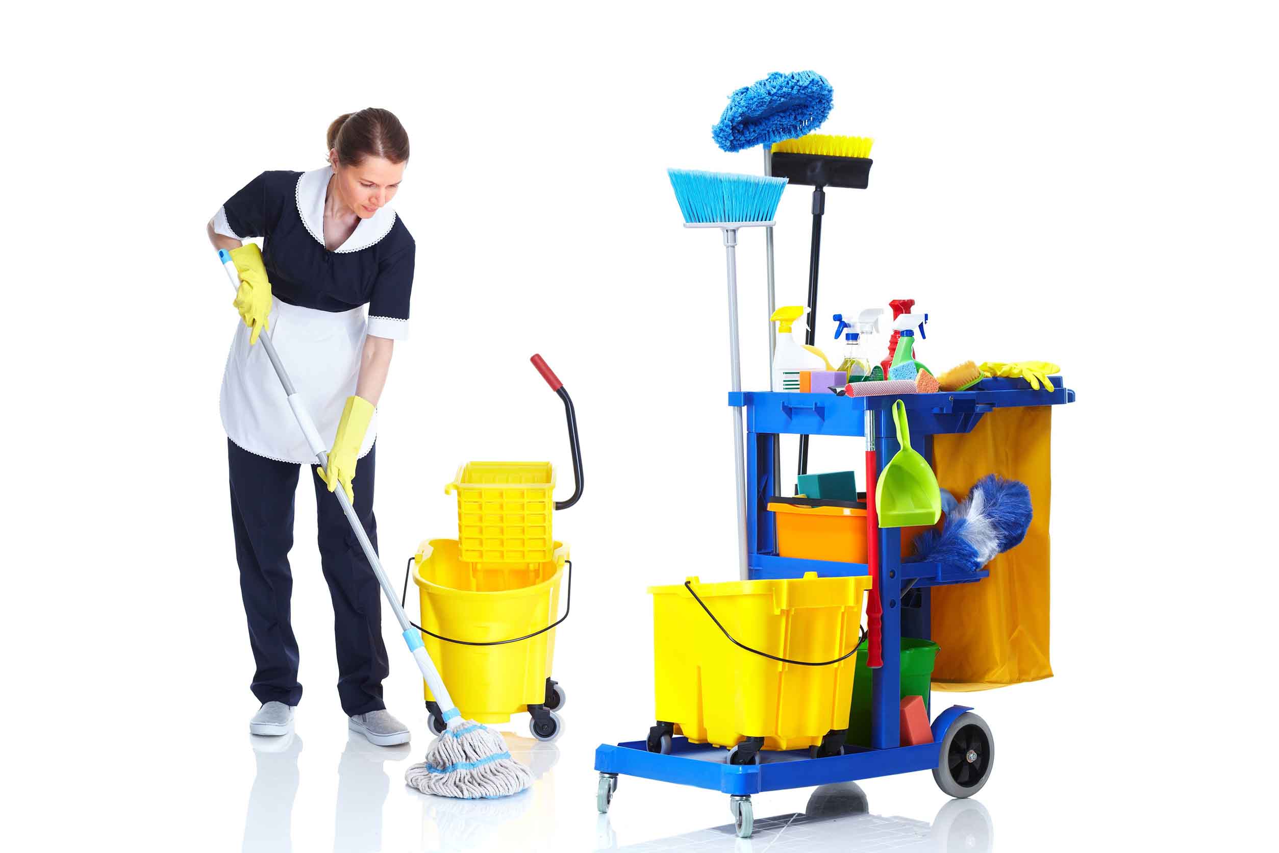 cleaning-lady-png-hd-specialised-cleaning-2507.jpg