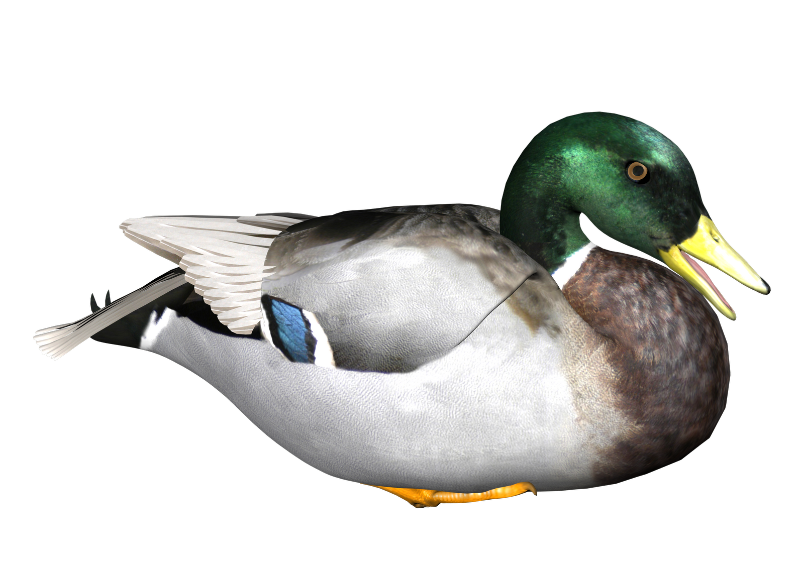 Duck Hunting Png Hd Transparent Duck Hunting Hdpng Images Pluspng