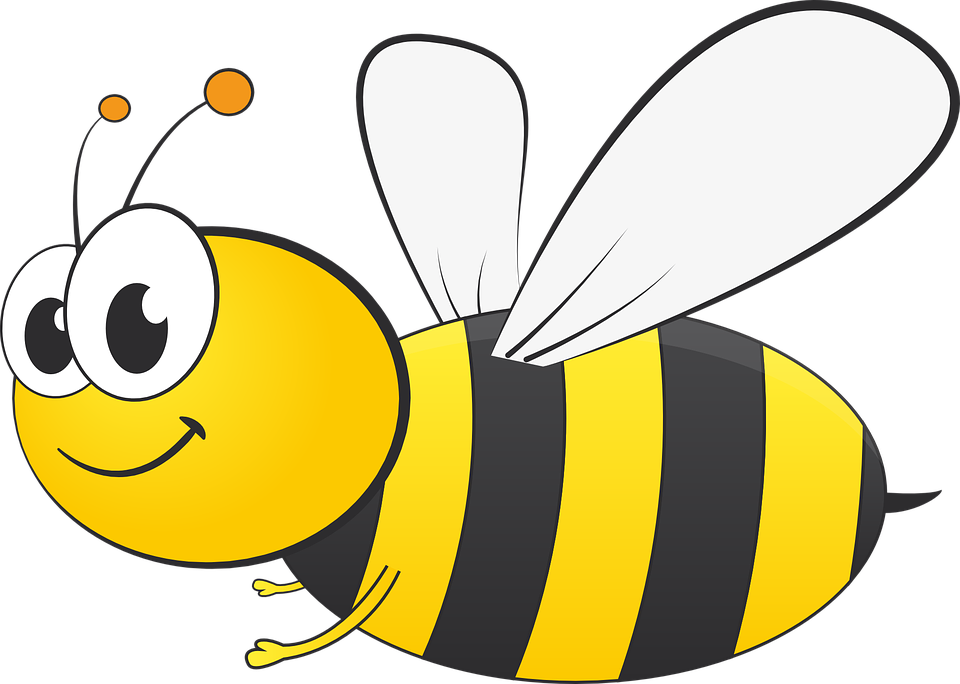 Free PNG Honey Bee Transparent Honey Bee.PNG Images. | PlusPNG