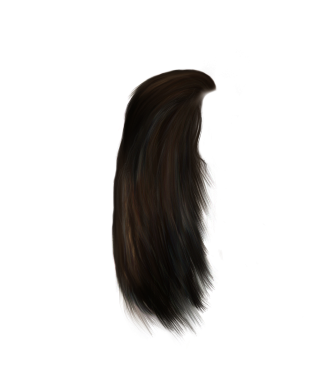 HQ Hair PNG Transparent Hair.PNG Images. | PlusPNG