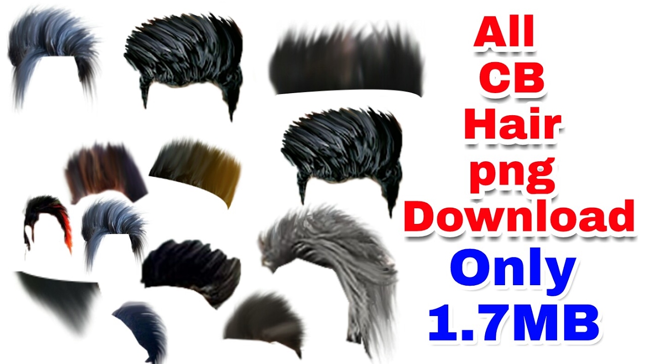 Hair PNG Transparent HairPNG Images PlusPNG