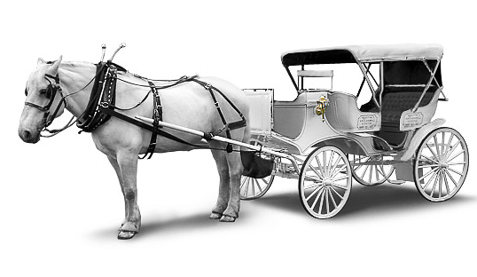Horse Carriage PNG HD Transparent Horse Carriage HD.PNG Images. | PlusPNG