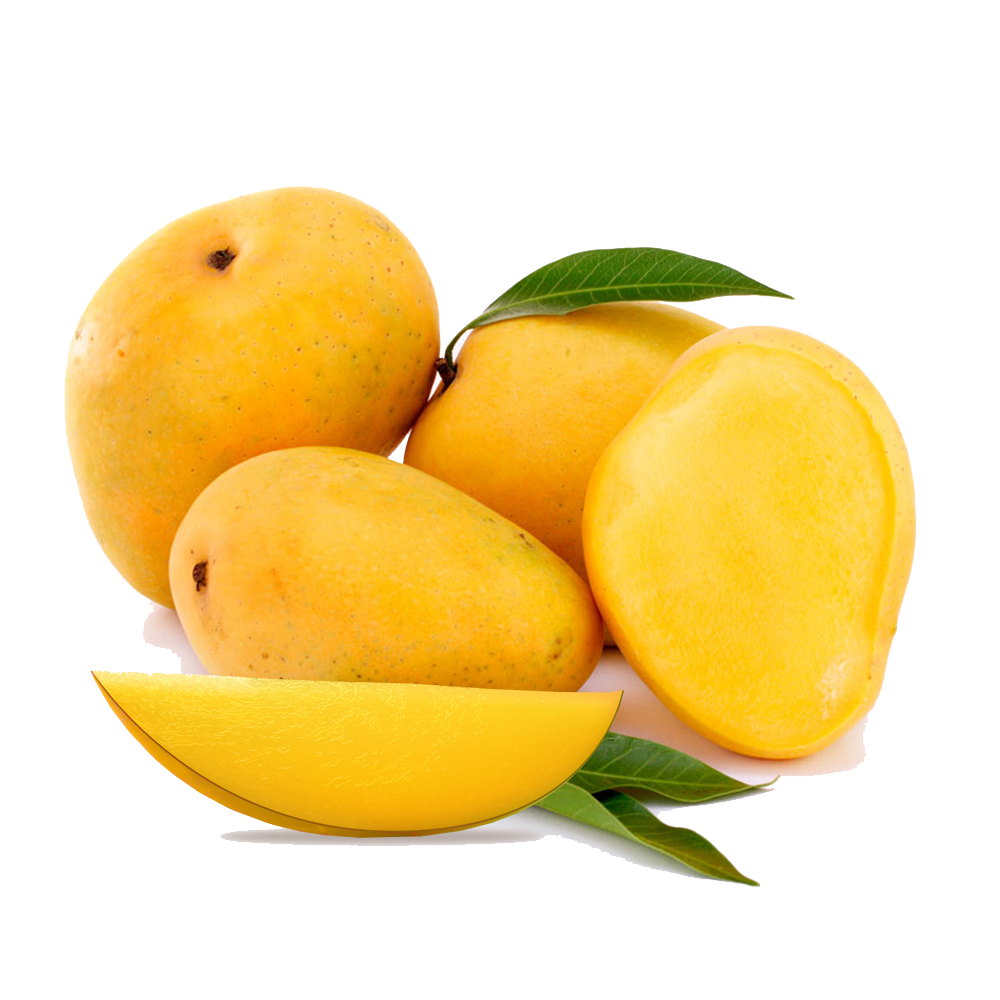 Collection Of Mango HD PNG PlusPNG