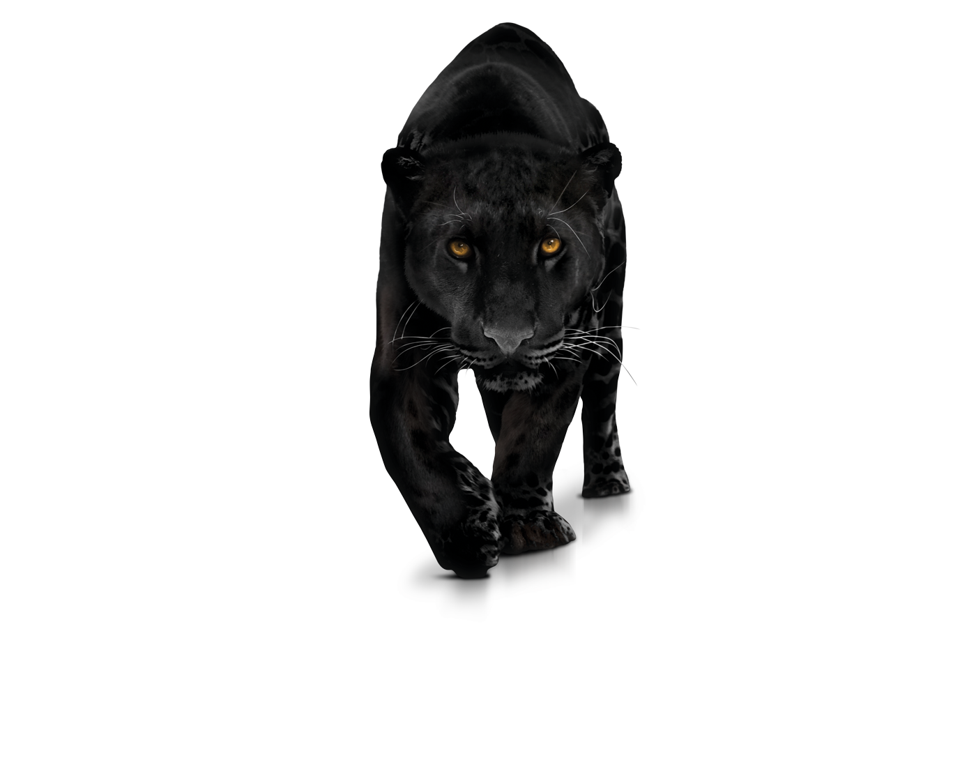 Pantera Png Black Panther Gaming Logo 3909382 Vippng Reverasite