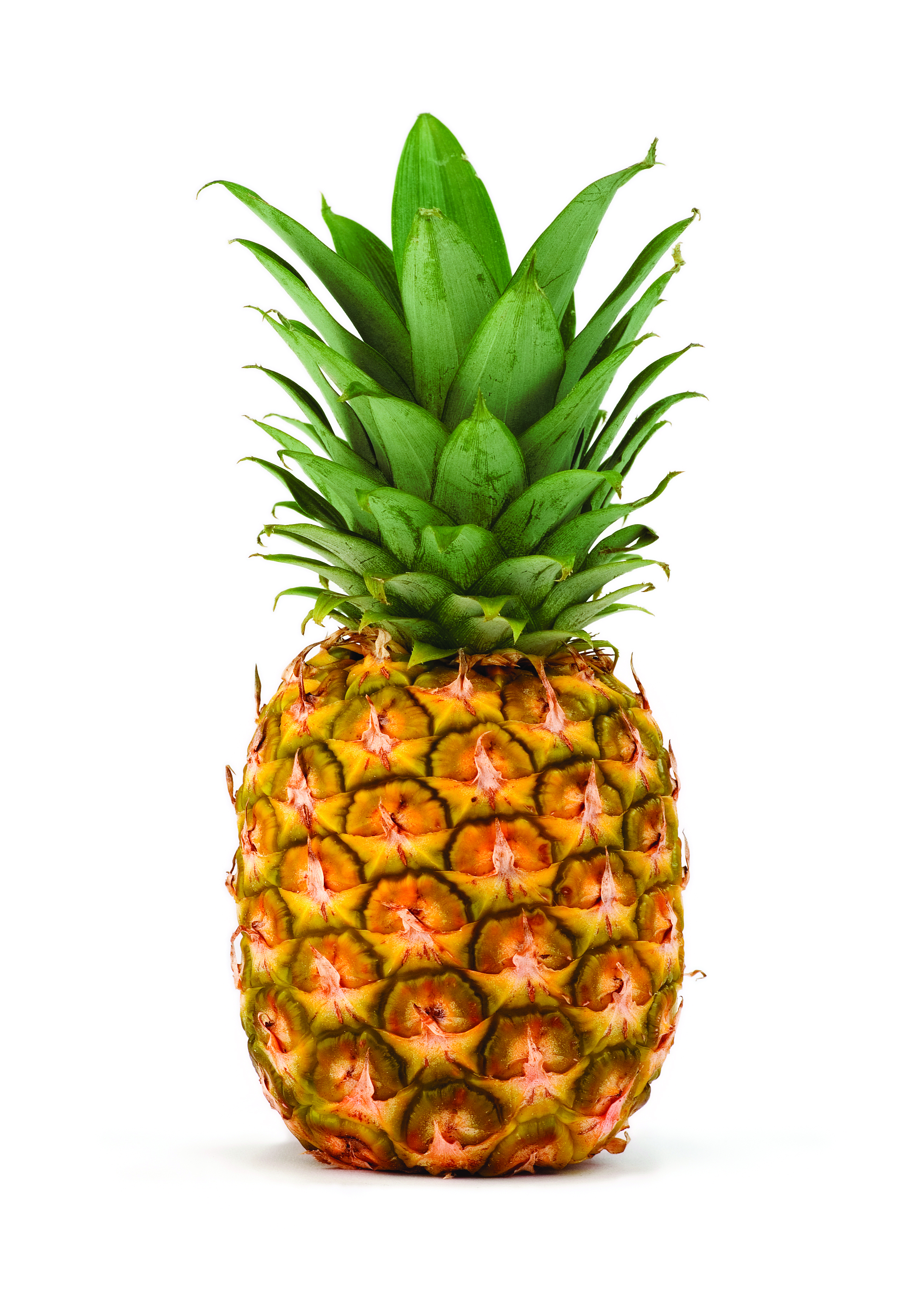 Pineapple HD PNG Transparent Pineapple HD.PNG Images. | PlusPNG