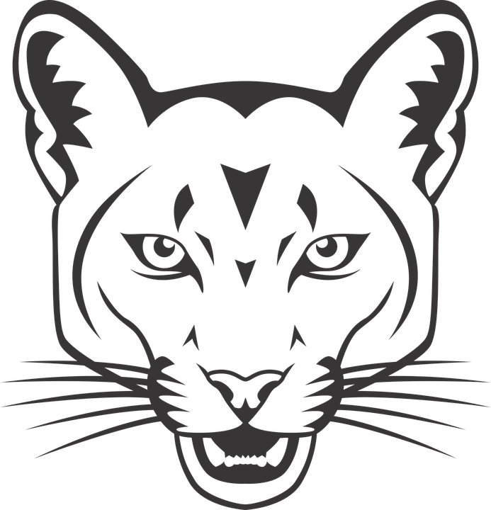 PNG Cougar Transparent Cougar.PNG Images. | PlusPNG