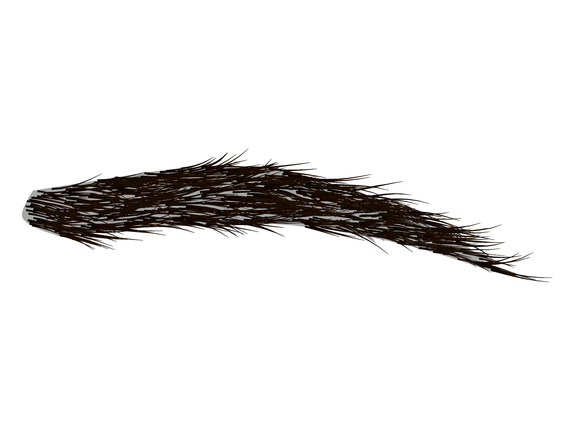 Eyebrows Png Transparent Png Image Collection