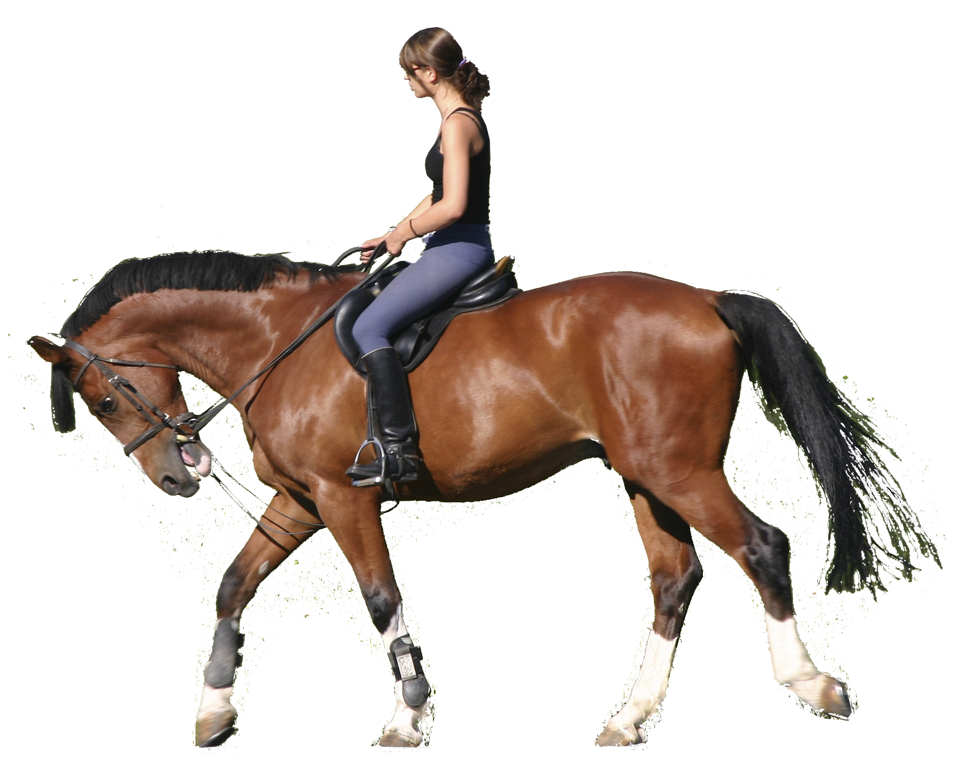 Horse With Saddle Png PNG Image Collection