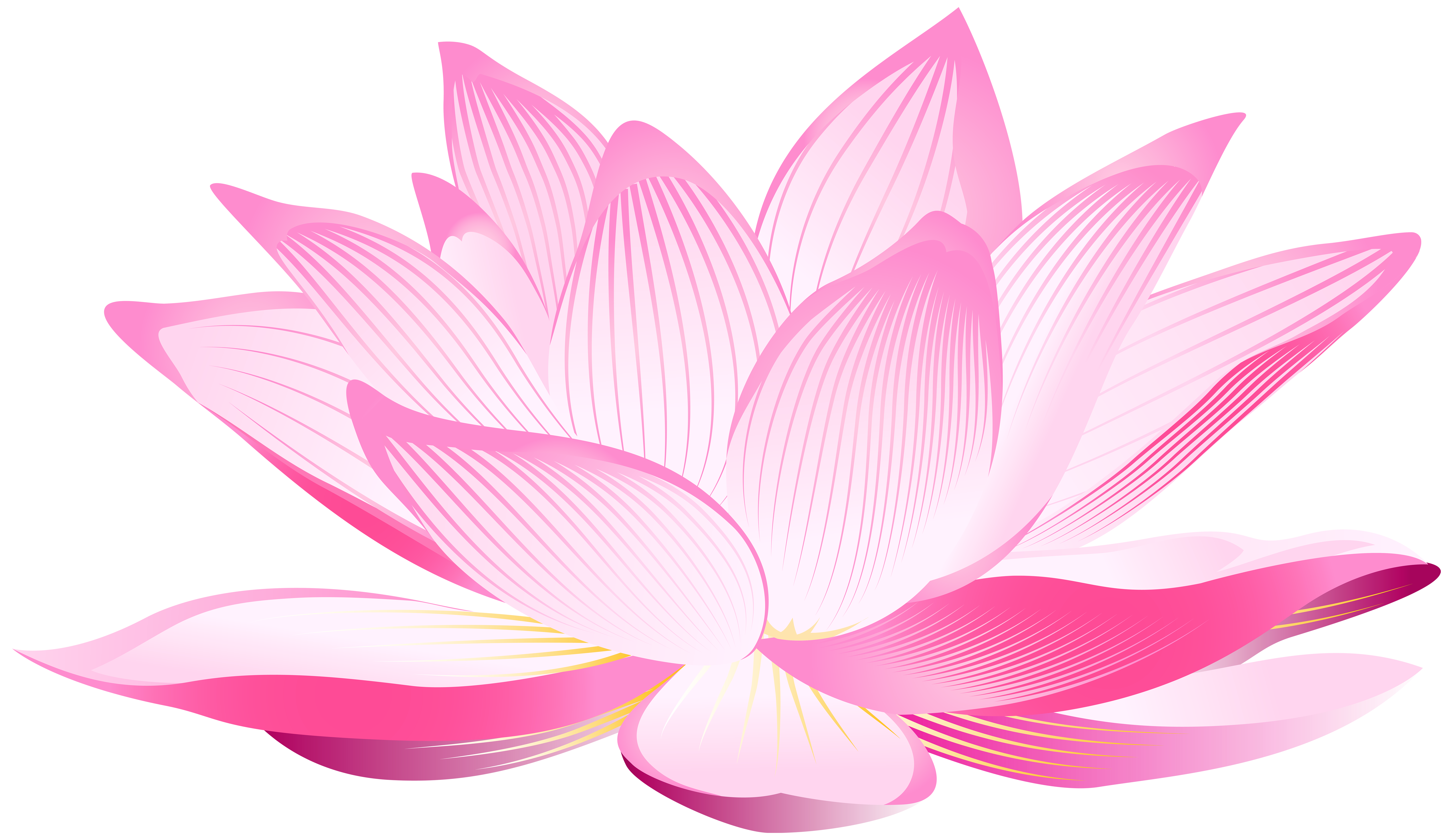 lotus flower illustration free download