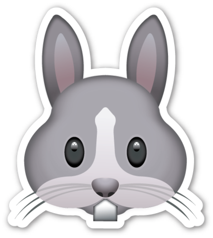 PNG Rabbit Face Transparent Rabbit Face PNG Images PlusPNG