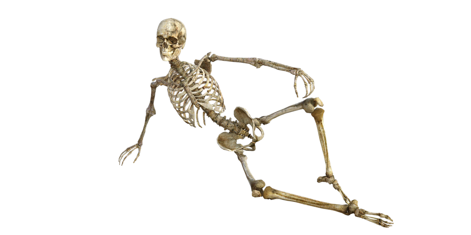 PNG Skeleton Bones Transparent Skeleton Bones.PNG Images. | PlusPNG