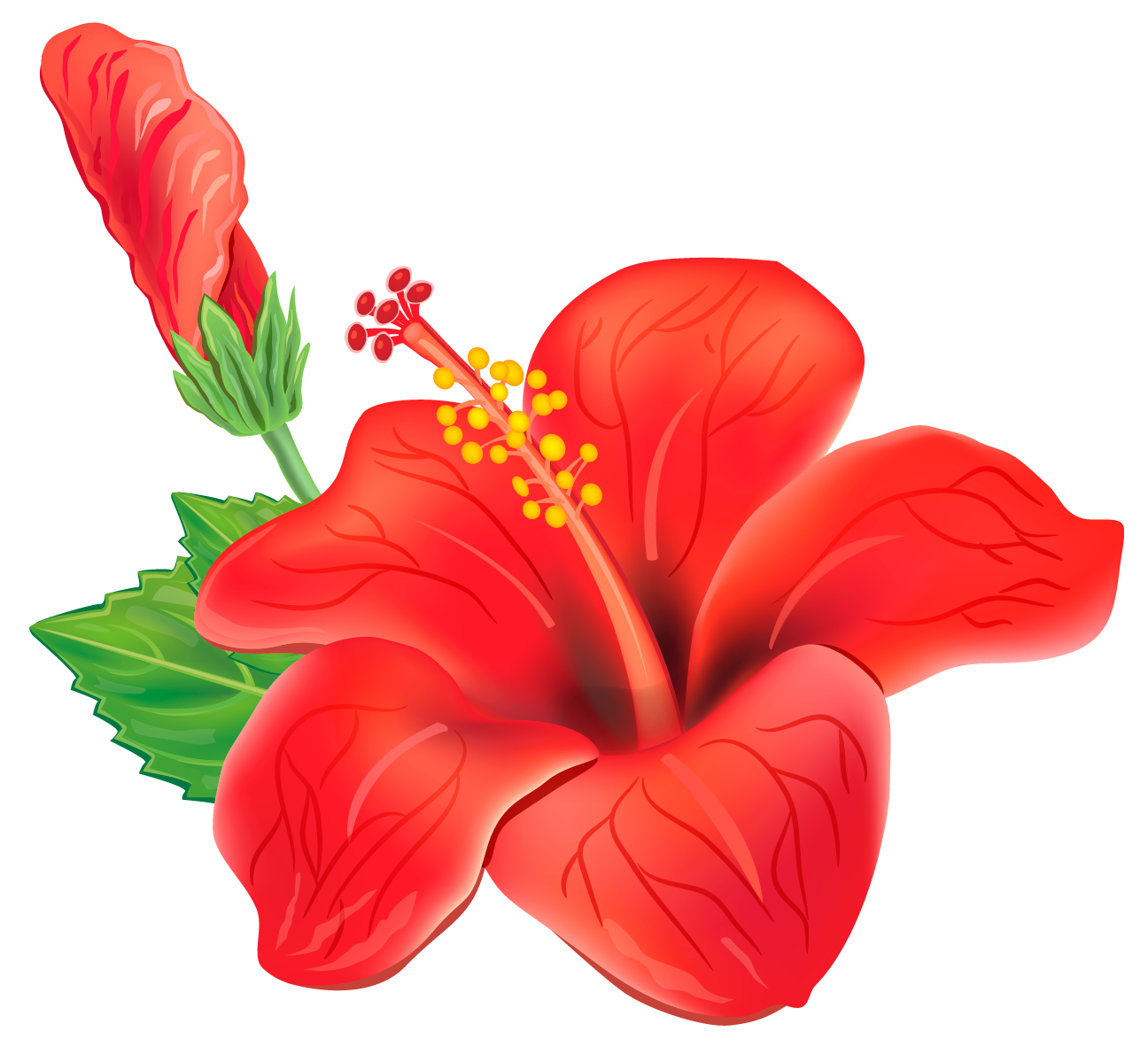 PNG Tropical Flowers Transparent Tropical Flowers.PNG ...