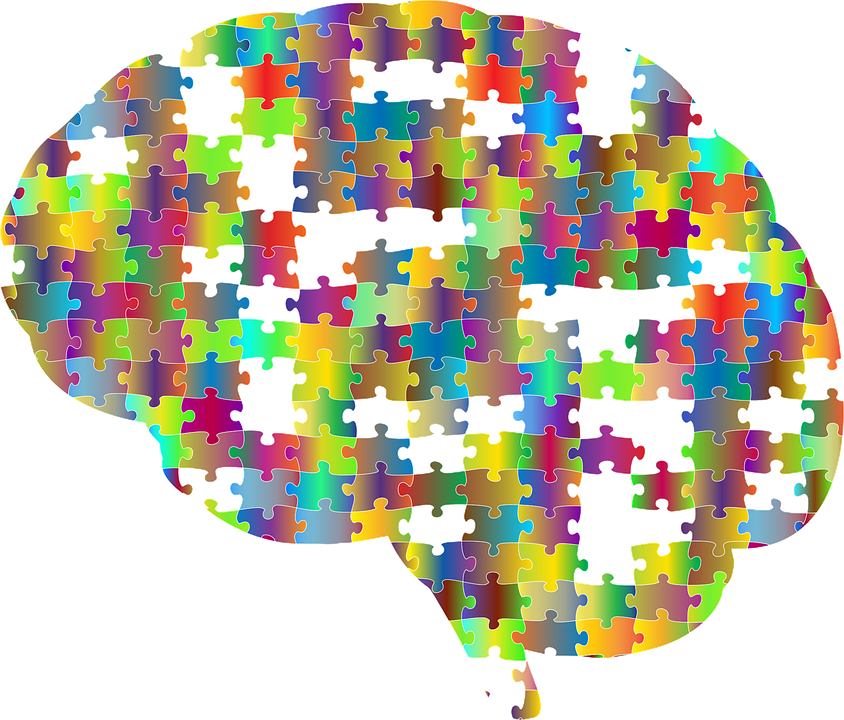 Psychology Brain PNG Transparent Psychology Brain.PNG Images. | PlusPNG