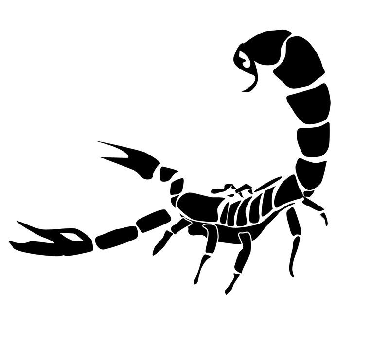 Scorpion Tattoos Png Transparent Scorpion Tattoos Png Images