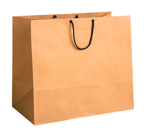 HQ Shopping Bag PNG Transparent Shopping Bag.PNG Images. | PlusPNG