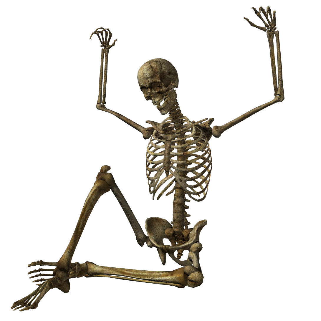 Skeleton HD PNG Transparent Skeleton HD.PNG Images. | PlusPNG