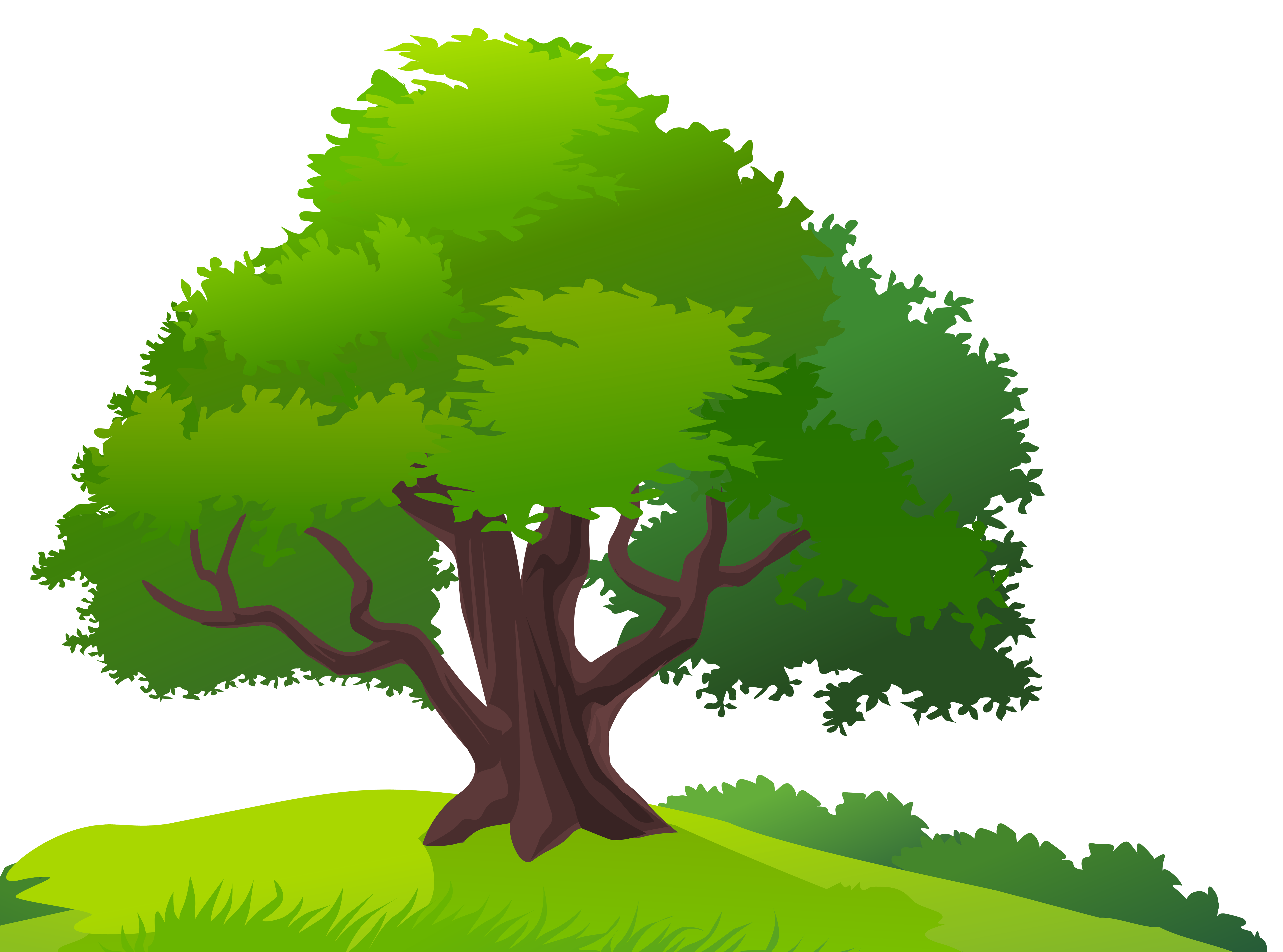 Tree Clipart PNG Transparent Tree Clipart.PNG Images. | PlusPNG