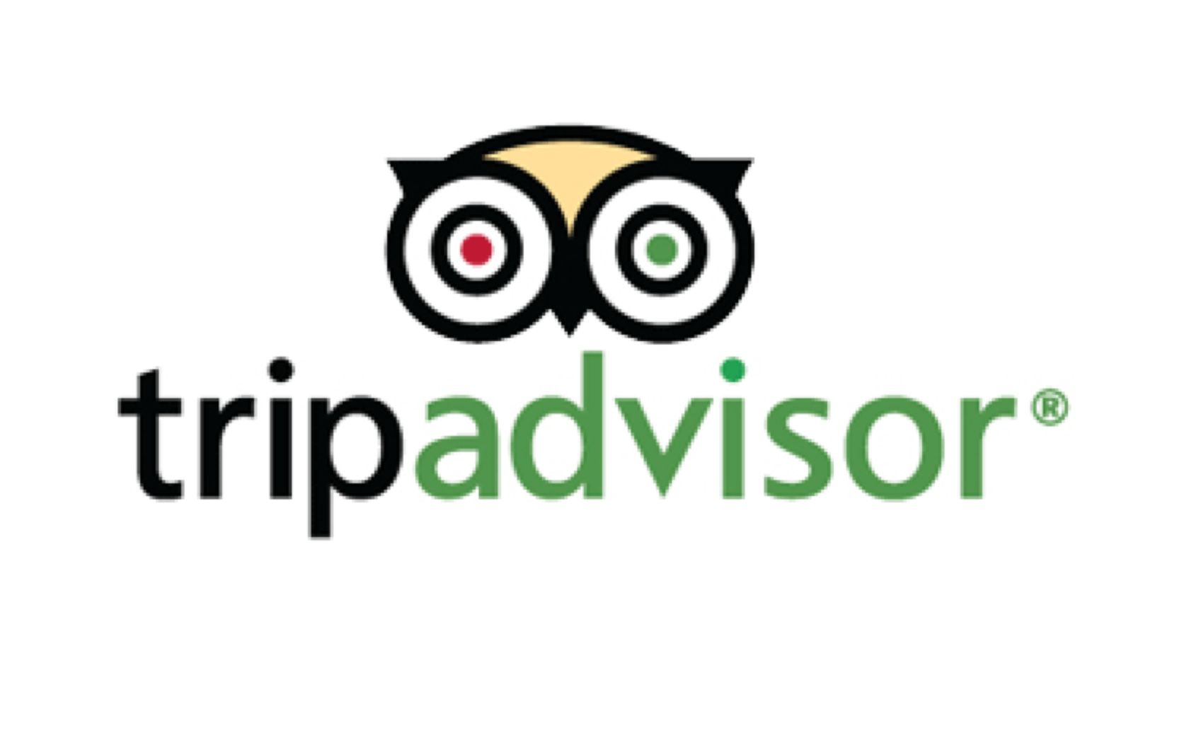 Image result for Trip Advisor logo
