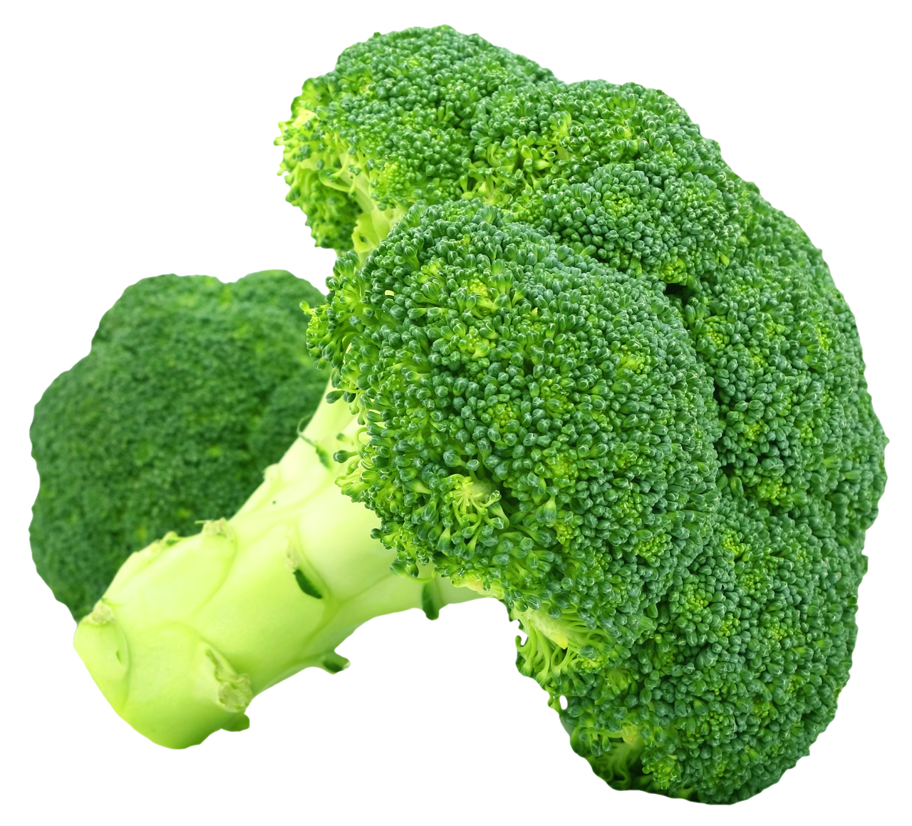 Collection Of Vegetable Png Hd Pluspng Vrogue Co