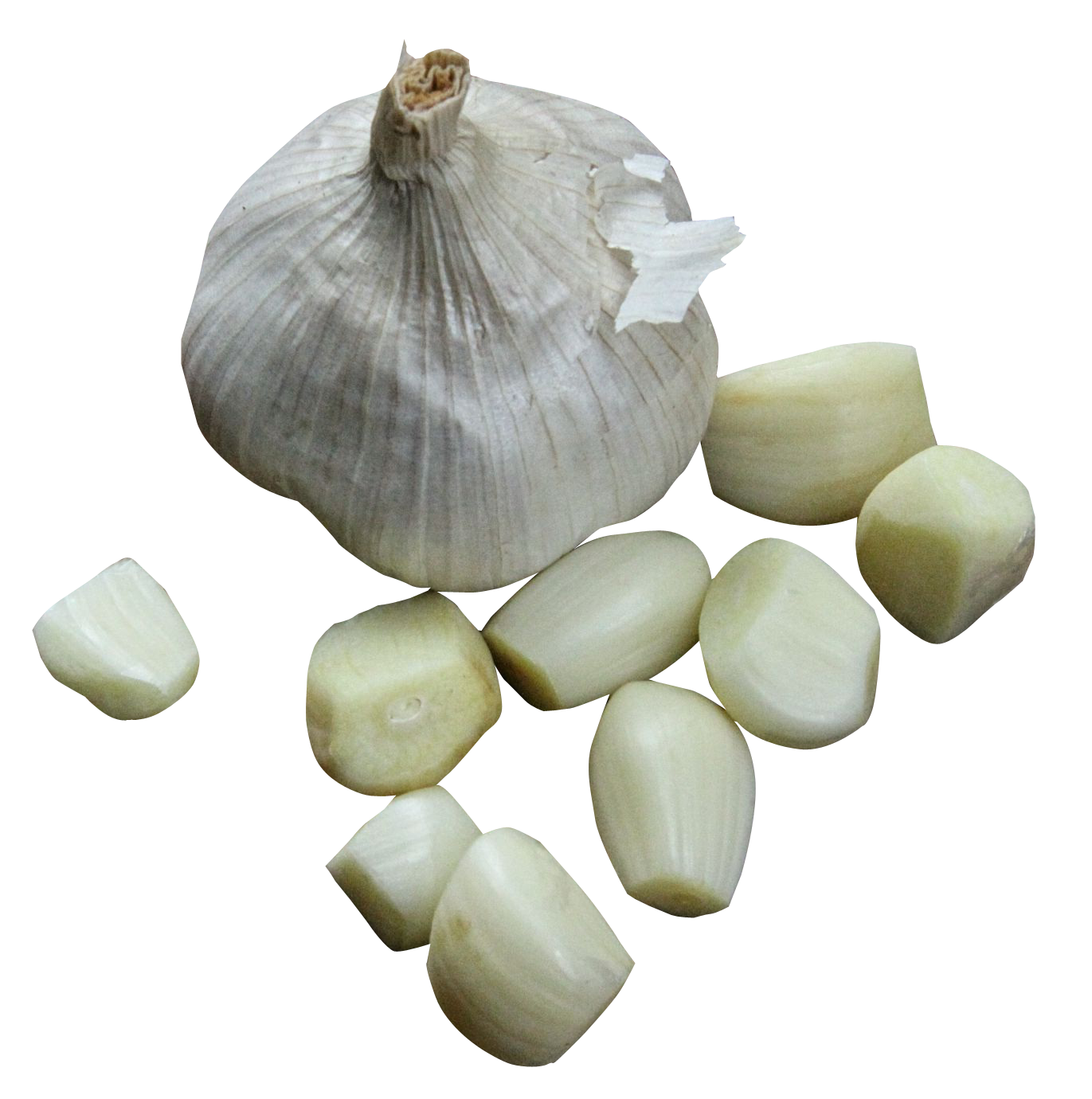 Garlic PNG - 7032
