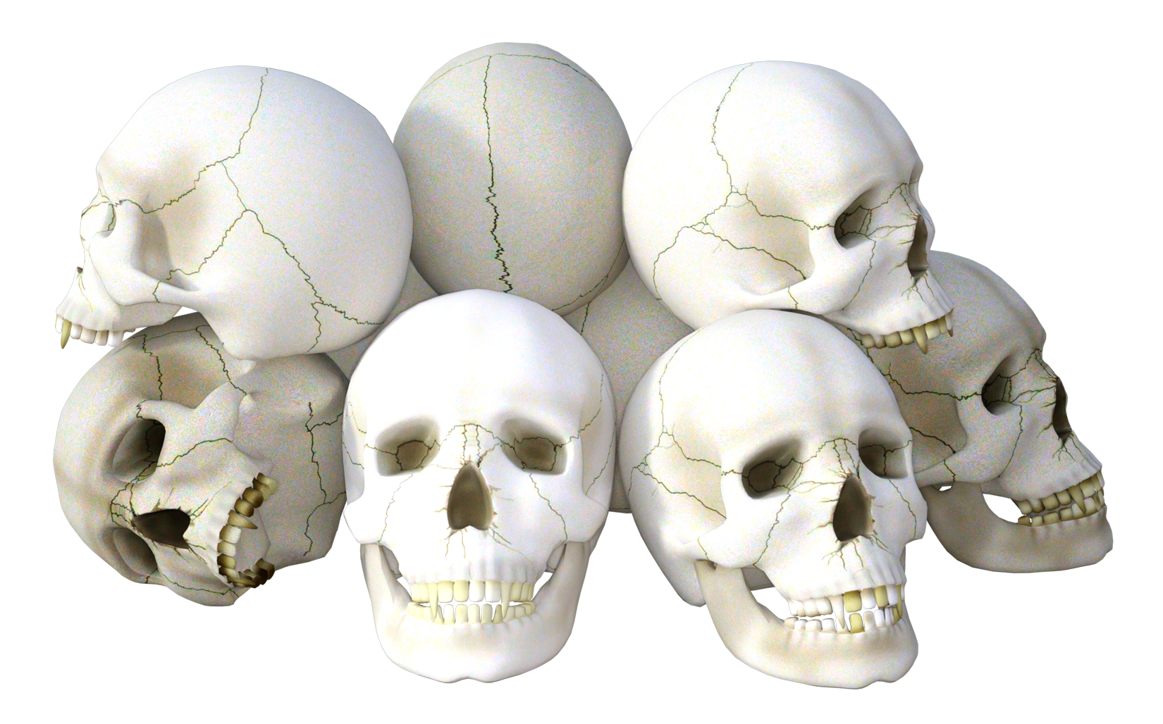 Skeleton Head PNG - 2007