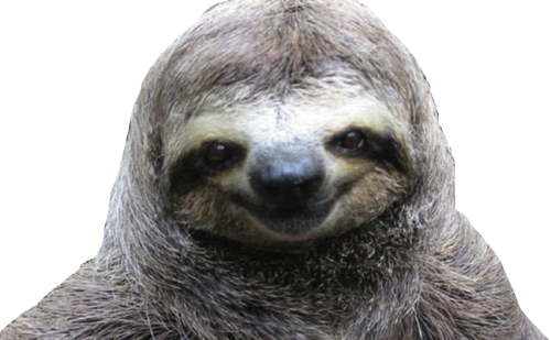 Sloth PNG - 6283