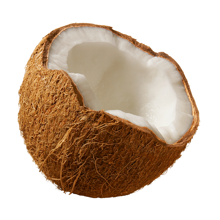 Coconut PNG - 108