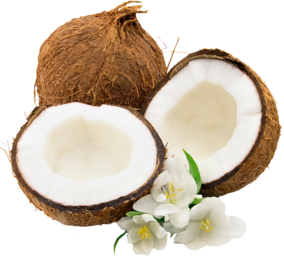 Coconut PNG - 107