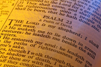 The Lord is my Shepherd. What