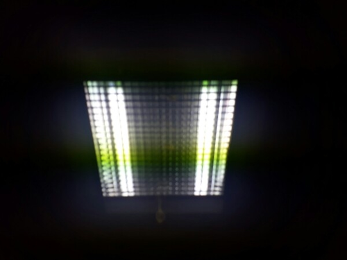 LED Wall Light - Pasolite 10W