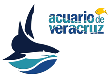 Acuario de Veracruz : Horario