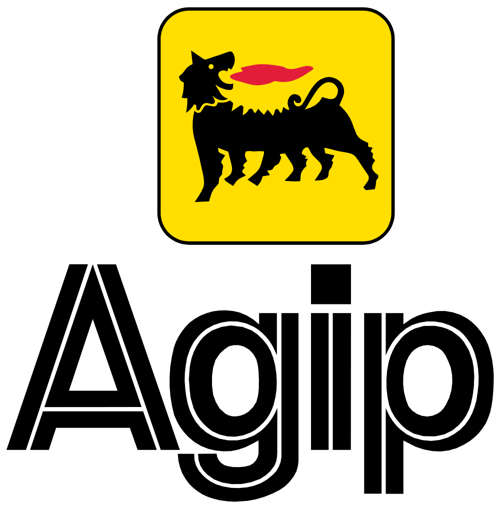 Petroturk Logo