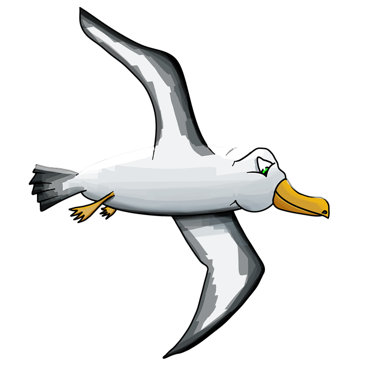 Albatross PNG - 26151