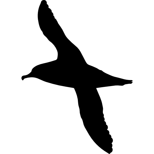 Albatross, Bird, Seagull, Pet