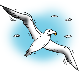 Albatross PNG - 26160