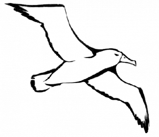 Albatross PNG - 26156