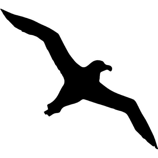 Albatross PNG - 26152
