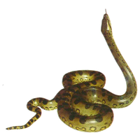 Anaconda PNG-PlusPNG.com-342