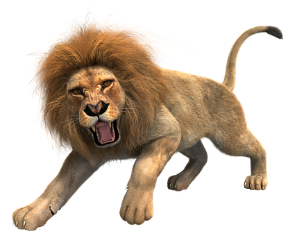 Angry Lion PNG HD - 120331