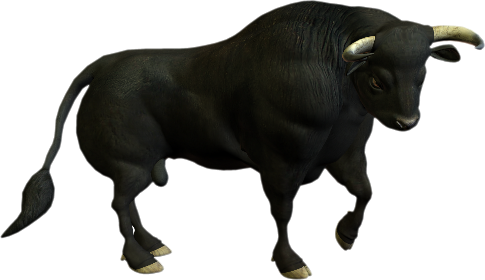 Angus Bull PNG - 167969