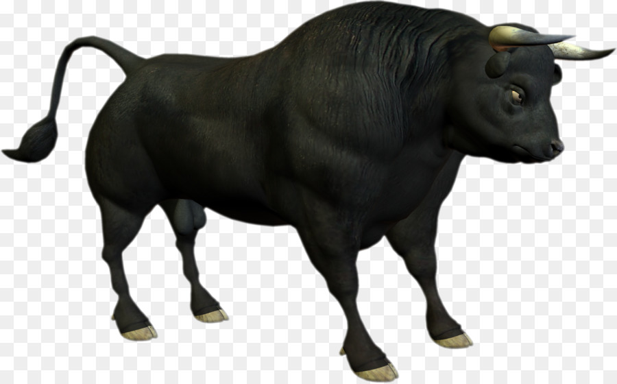 Angus Cattle PNG - 167911