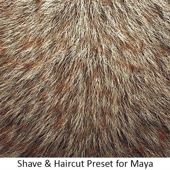 Animal Fur PNG - 143686