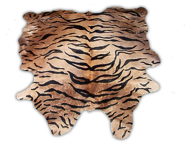 Leopard Skin Clip Art at Clke