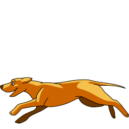 tibetan antelope illustration