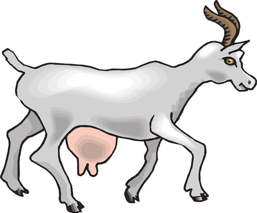 Animated Goat PNG - 159600