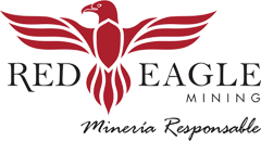 Apa Eagle Logo PNG - 97764