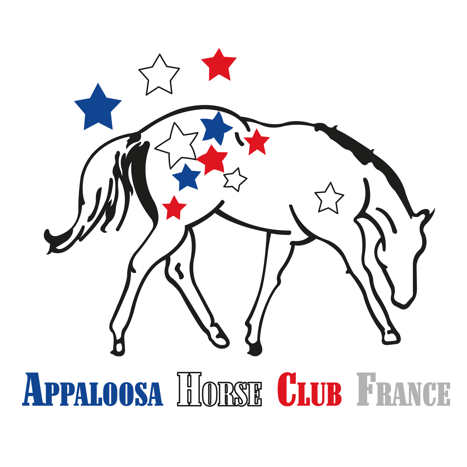 APPALOOSA HORSE CLUB