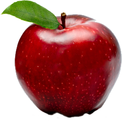 Apple Fruit PNG - 28144