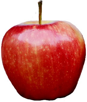 Apple PNG - 9515
